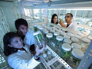 放心的充值平台推荐的云呼电话测压网页版